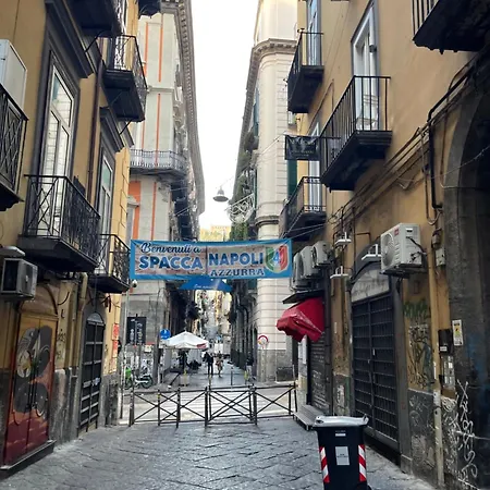 شقة Alessio's House